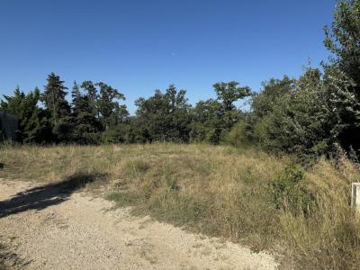 Annonce Vente 5 pices Maison Cairanne 84