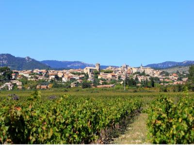 Annonce Vente Maison Caromb 84