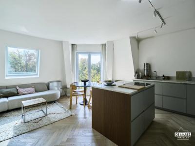 Annonce Vente 3 pices Appartement Madeleine 59