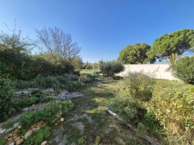Acheter Maison 90 m2 Saint-remy-de-provence
