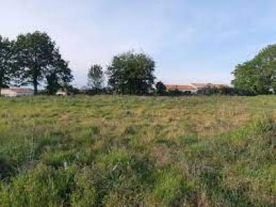 Annonce Vente Terrain Villeneuve-tolosane 31