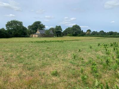 Annonce Vente 6 pices Maison Plumergat 56