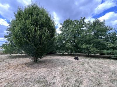 Acheter Maison 99 m2 Saint-gaudens