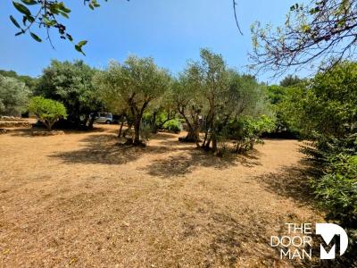 Acheter Maison 39 m2 Sanary-sur-mer