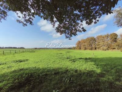For sale Saint-jouin-bruneval 5 rooms 190 m2 Seine maritime (76280) photo 2