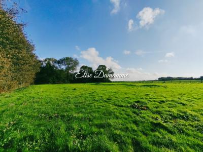 For sale Saint-jouin-bruneval 5 rooms 190 m2 Seine maritime (76280) photo 3