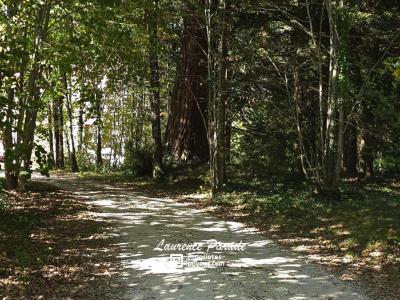 For sale Saint-front-de-pradoux 20 rooms 625 m2 Dordogne (24400) photo 1