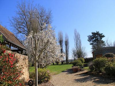Acheter Prestige Cernay-la-ville Yvelines
