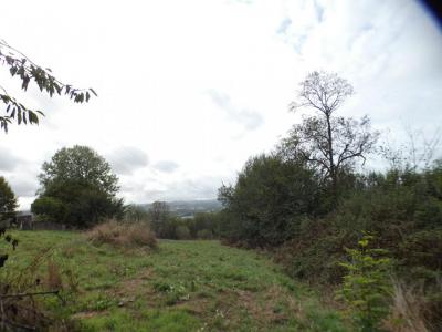 Annonce Vente Terrain Ussac 19