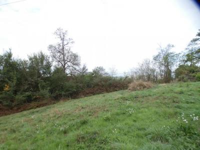 Acheter Terrain Ussac 55000 euros