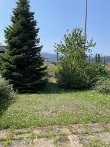 Acheter Maison 66 m2 Soultz-haut-rhin