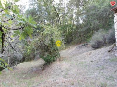 For sale Coux-et-bigaroque 3 rooms 57 m2 Dordogne (24220) photo 3
