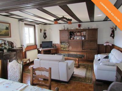 Acheter Maison 142 m2 Langensoultzbach