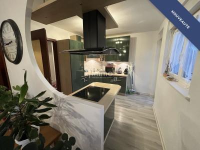 Acheter Appartement 74 m2 Wittenheim
