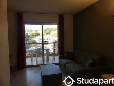For rent Mougins 1 room 21 m2 Alpes Maritimes (06250) photo 0