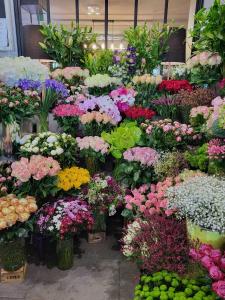 Annonce Vente Commerce Toulouse 31