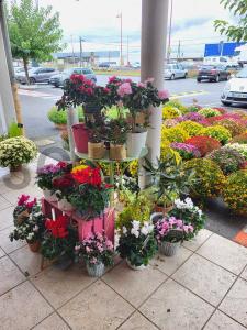 Acheter Commerce Toulouse
