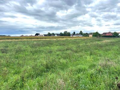 Annonce Vente Terrain Muntzenheim 68