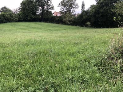 Annonce Vente Terrain Begole 65