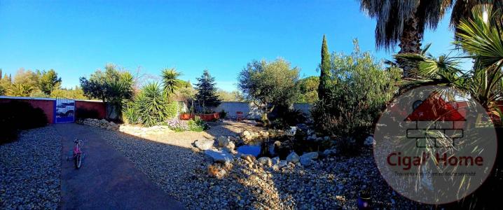 Annonce Vente 7 pices Maison Palme 11