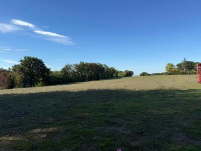 Annonce Vente 5 pices Maison Montastruc-la-conseillere 31