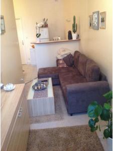 Louer Appartement 38 m2 Lyon-1er-arrondissement