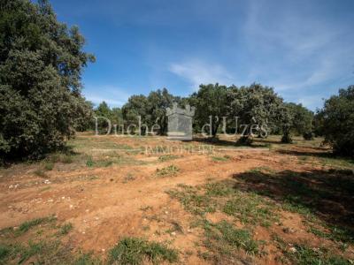 Acheter Terrain Uzes Gard