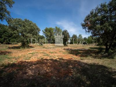 Acheter Terrain Uzes 75000 euros