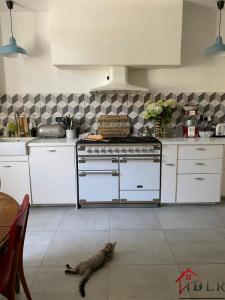 For sale Bourbonne-les-bains 11 rooms 346 m2 Haute marne (52400) photo 4