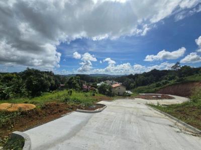 Annonce Vente Terrain Fort-de-france 972