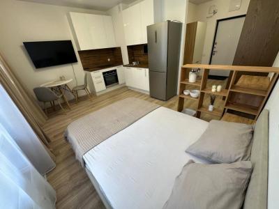 For rent Lyon-3eme-arrondissement 1 room 25 m2 Rhone (69003) photo 0