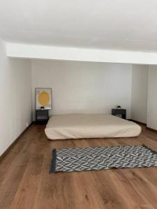 Louer Appartement Lyon-7eme-arrondissement 520 euros
