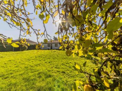 Acheter Maison 119 m2 