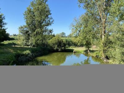 Acheter Maison  367500 euros
