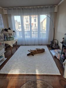 Acheter Maison Acheres 310000 euros