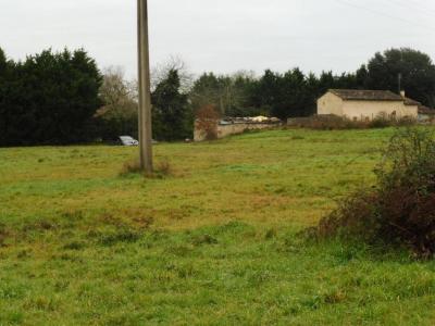 Annonce Vente Terrain Montpeyroux 24