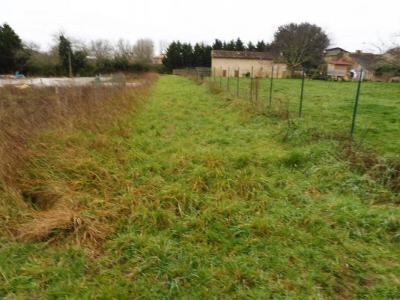 Acheter Terrain 23422 m2 Montpeyroux