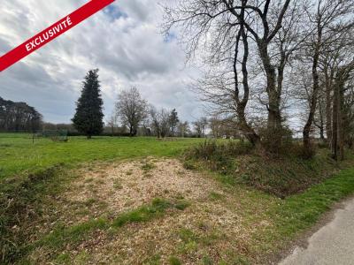 Acheter Terrain 1306 m2 Gacilly
