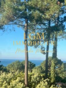 Acheter Maison 189 m2 Pyla-sur-mer