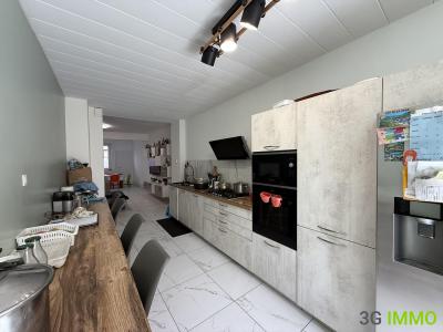 Annonce Vente 6 pices Maison Saint-martin-la-plaine 42