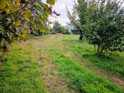 Acheter Maison Saint-laurent-du-pape 380000 euros