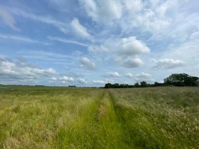 Annonce Vente Maison Thonne-le-thil 55
