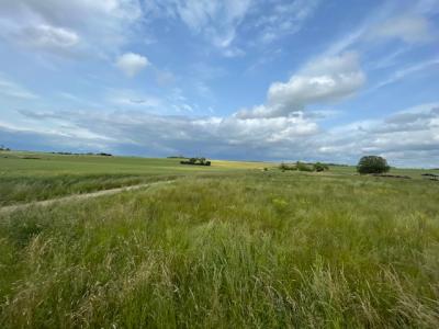 Acheter Maison 110 m2 Thonne-le-thil