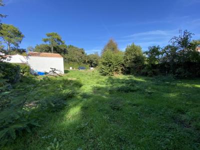 Acheter Terrain 493 m2 Longeville-sur-mer