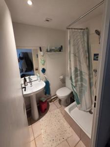 Louer Appartement 26 m2 Toulouse
