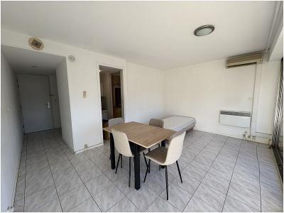 Annonce Location Appartement Toulouse 31