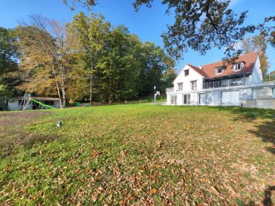 Annonce Vente Prestige Boissettes 77