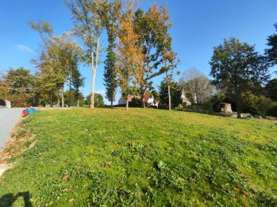 Annonce Vente Terrain Boissettes 77