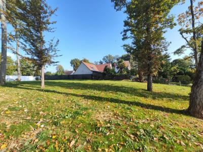 Annonce Vente Terrain Boissettes 77