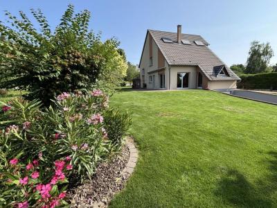 Acheter Maison 200 m2 Berstett